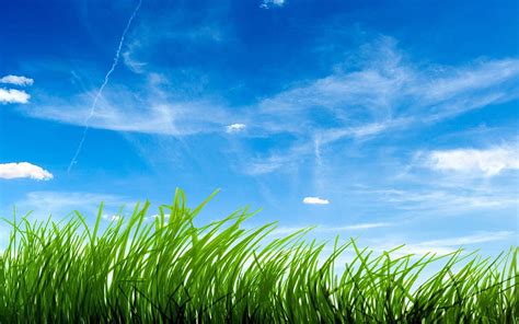 Green Grass And Blue Sky, HD wallpaper | Peakpx