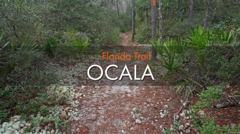 Hiking Salt Springs – Florida Hikes