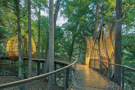 WildWoods at Fernbank Museum of Natural History by Sylvatica Studio ...