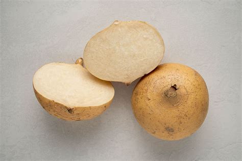 Jicama Yam Bean Fruit Deals Clearance | www.deborahsilvermusic.com