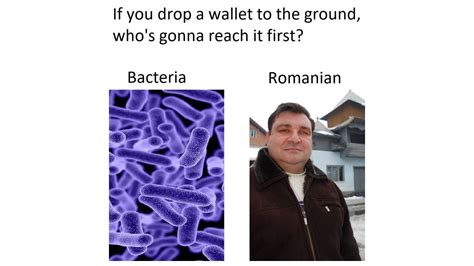 Romanians Stealing Wallets: Image Gallery (Sorted by Low Score) (List View) | Know Your Meme