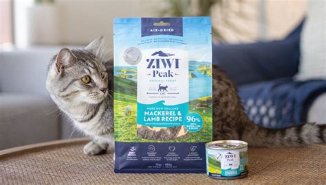 Sensitive Stomach Cat Food | What You Need to Know | ZIWI US