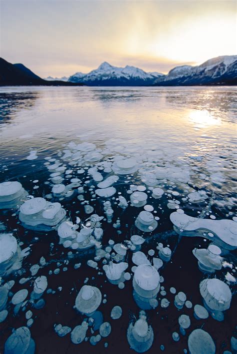 Abraham Lake, Alberta: Frozen Methane Ice Bubbles – Abraham Lake Ice ...