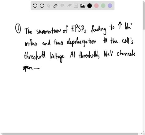 SOLVED:What causes the wave of depolarization constituting an action ...