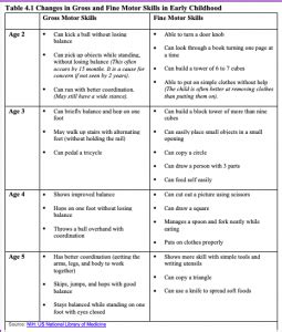 Chapter 13: Physical Development in Early Childhood – Human Behavior and the Social Environment I