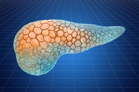 My Islet Cell Transplant Journal | Diabetes Daily Forums