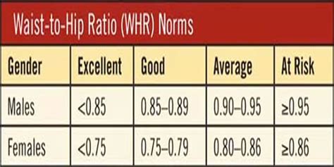 Waist Hip Ratio - how to accurately measure your waist to hip ratio