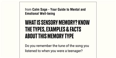 What Is Sensory Memory? Know The Types, Examples & Facts About This Memory Type - Briefly