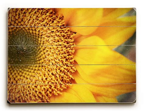 Wood Wall Art Sunflower Print Wood Plank Art Sunflower | Etsy