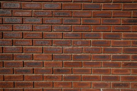 Clay Brick Wall Construction Stock Photo - Image of construction, skill: 26818510