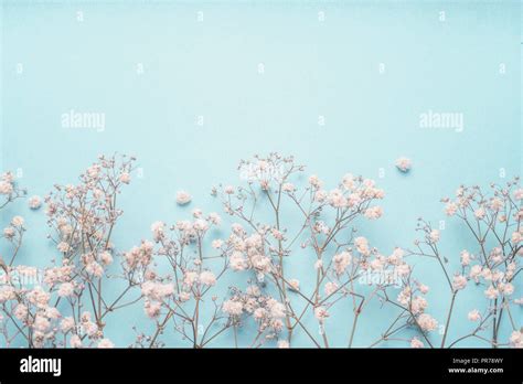 Pastel Blue Wallpaper Flowers : Blume Hintergrunde Iphone Android ...