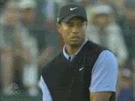 LOL Tiger - Reaction GIFs