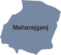 Official Website of One District One Product Uttar Pradesh / Maharajganj