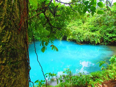 Photos of Tenorio Volcano & Celeste Waterfall, Costa Rica