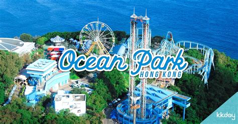 Cool Down This Summer at Ocean Park Hong Kong - KKday Blog