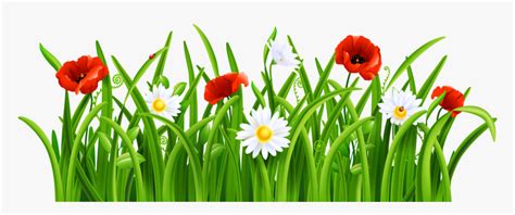 Grass With Flower Clipart Png - Flowers And Grass Png, Transparent Png ...