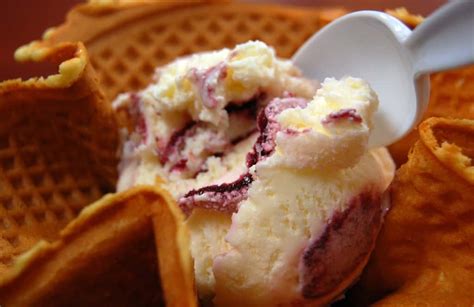 Cheddar Cheese Ice Cream Recipe - Famlii