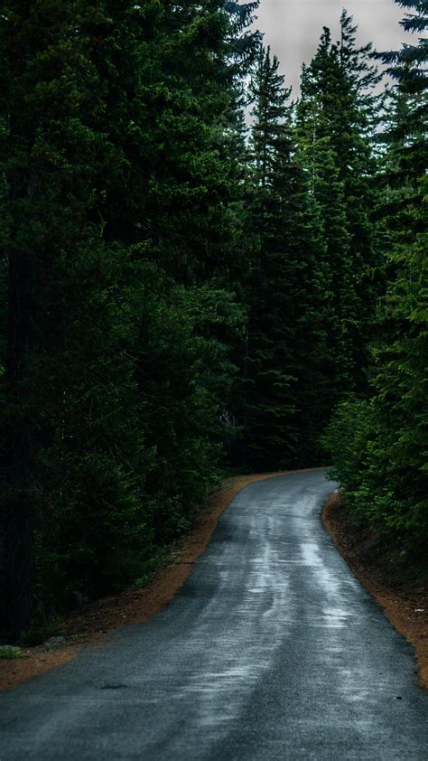 Road Through Forest Wallpaper - iPhone, Android & Desktop Backgrounds ...