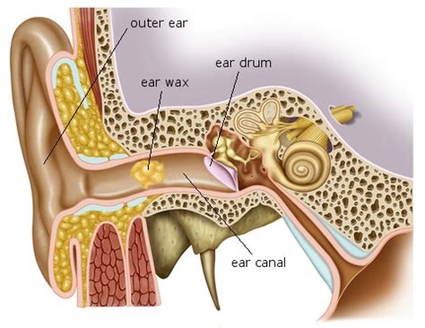 Ear Wax Impaction - Ear Clean Clinic