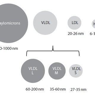 Flowchart for management of lipemic samples. | Download Scientific Diagram