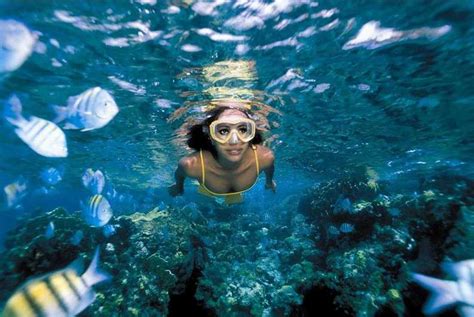 Isla Mujeres Snorkeling Tour - Vip Riviera Maya