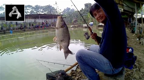 Kail Yang Bagus Untuk Ikan Mas