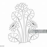 Water Lily Flower Coloring Page Of Simplicity Artistic Drawn With  sketch template