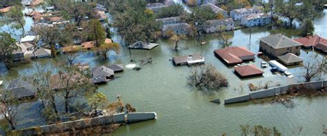 THe Impact of Catastrophic Events on Ecosystems - Home