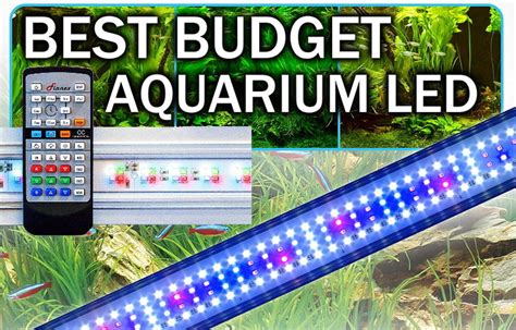 Top 5 Best Budget Planted Aquarium LED Lights For Your Aquarium Plants ...