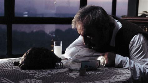 ‎The Unforgettable Director of Love Movies (1990) directed by Yavuz Turgul • Reviews, film ...