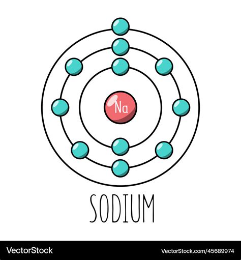 Sodium atom bohr model Royalty Free Vector Image