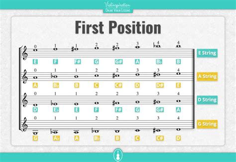 All Violin Notes for Beginners [Easy PDF Charts] - Violinspiration