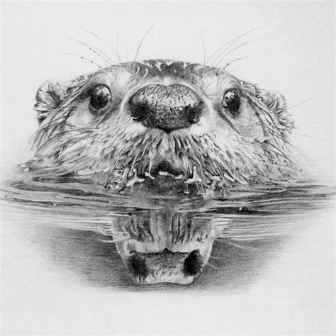 Gemma Hayward on Instagram: “Finished at last.... #otters #otter # ...