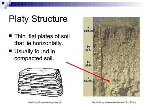 Platy Soil Structure