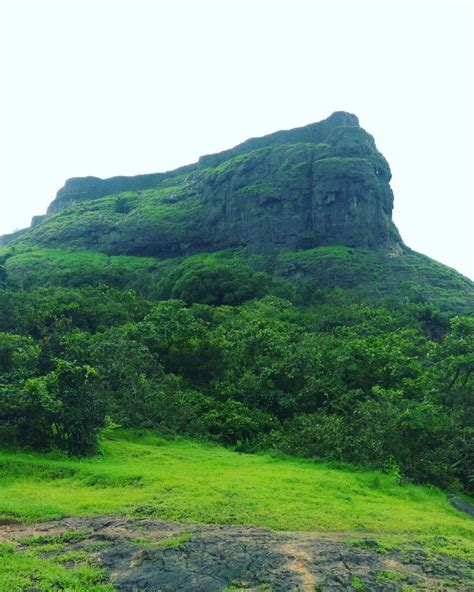 Shrivardhan rajmachi fort lonavala maharashtra | Places to travel, Fort, Nature lover