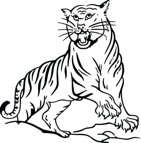 Bengal Tiger Coloring Page at GetColorings.com | Free printable ...