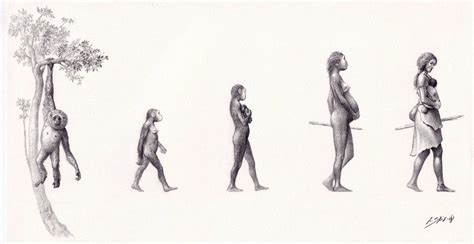 First Steps: How Upright Walking Made Us Human : r/neanderthalnews