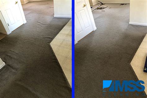 Denver Carpet Stretching Before and After | MSS Cleaning