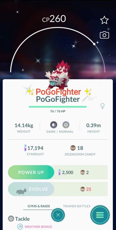 Pokémon GO Shiny Galarian Zigzagoon - Trade 20.000 stardust (Read Describe) - PoGoFighter