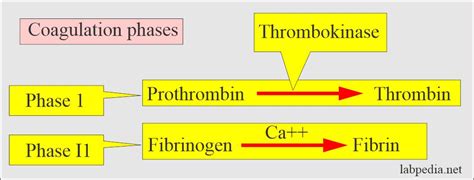 Activated Partial Thromboplastin Time (APTT), Partial thromboplastin time (PTT), Prothrombin ...