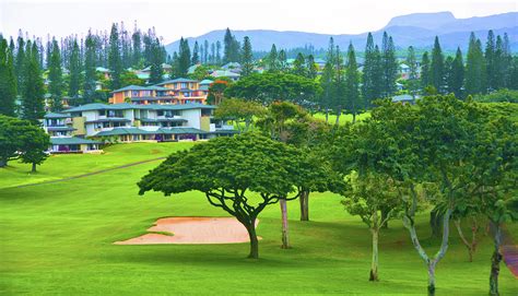 Kapalua Bay Resort and Golf Photograph by Nancy Jenkins - Fine Art America