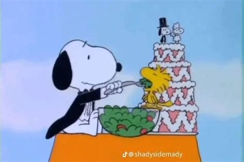 Pin by kerry on SNOOPYHIVE in 2023 | Snoopy cartoon, Snoopy pictures ...