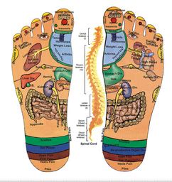 Foot Pressure Points | Foot reflexology, Reflexology, Reflexology chart