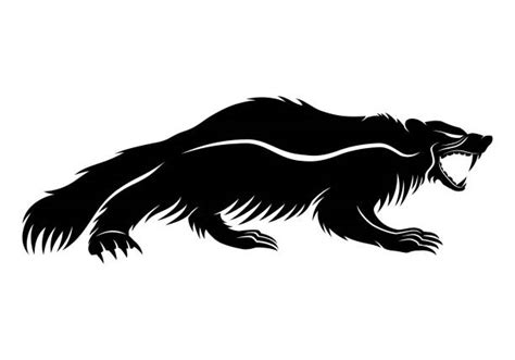 Wolverine Animal Illustrations, Royalty-Free Vector Graphics & Clip Art ...