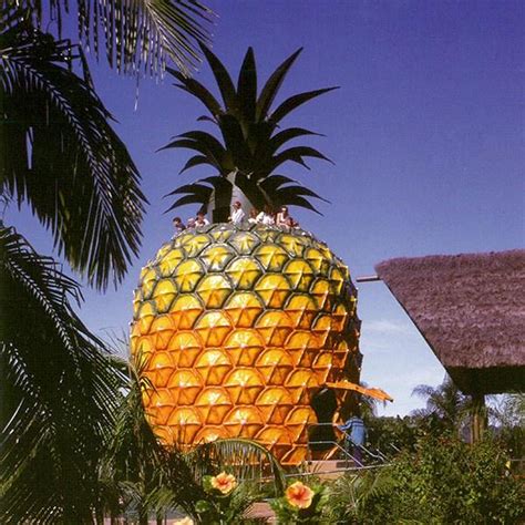 The Big Pineapple in Nambour, South East Queensland, Australia | Attraction | Cafe | Functions ...