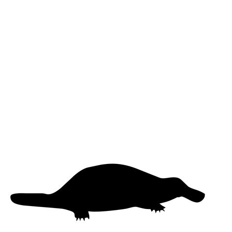 Platypus Silhouette at GetDrawings | Free download