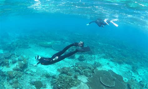 Snorkel Trip in Sanur Area (BALI) | Getmyboat