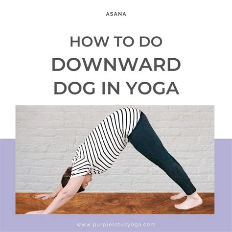 How to Do Downward Dog in Yoga - Purple Lotus Yoga | Yoga Teacher Training