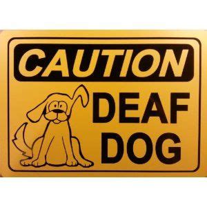 CAUTION DEAF DOG 10"x14" Heavy Duty Plastic Sign | Deaf dog, Daisy dog ...