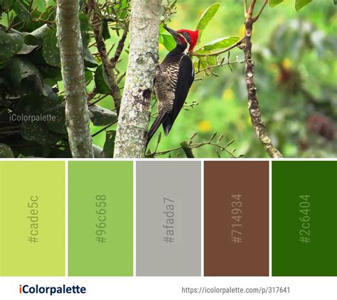 155 Jungle Color Palette ideas in 2024 | iColorpalette